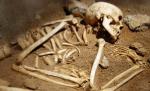 Oseminte descoperite în subsolul Colegiului Naţional "Moise Nicoară" din Arad