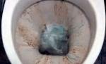 Băutura pe care o adori curăţă de minune WC-ul. O demonstraţie care îţi va schimba obiceiurile