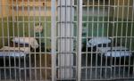 Italia: Român condamnat la doi ani de detenţie pentru că a furat o ciocolată