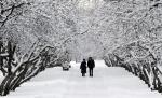 Temperaturi de -50 de grade în Rusia. Există pericolul producerii de avalanşe