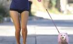 Te doare mintea! Vezi ce "divă" a ieşit la jogging pe tocuri de 15 cm, coafată şi cu un căţel roz în lesă