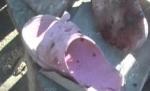 O femeie şi-a ucis fata de doar patru luni, după care şi-a luat viaţa