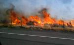 Alertă în Nevada: 10.000 de persoane evacuate din cauza incendiilor de vegetaţie