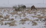 Peisajul care i-a lăsat pe toţi mască. Schimbările climatice au dus la acest paradox
