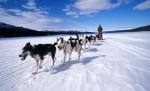 Harghita: Concurs de atelaje canine pe gheaţa de pe Lacul Roşu