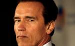Arnold Schwarzenegger, vizită surpriză într-un orăşel din ţara sa natală: Promovează energia verde