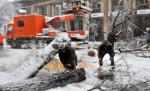 Prahova: Copac căzut peste un microbuz cu 13 pasageri, pe DN1