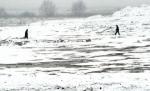 Intrăm în „era glaciară”. GERUL pune stăpânire pe România. Temperaturi EXTREME în weekend. Vezi prognoza meteo