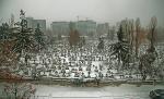 Bucureştiul, împodobit de iarnă. Imagini trimise de utilizatorii www.antena3.ro