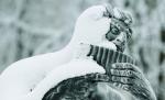 Cele mai scăzute temperaturi din această iarnă, înregistrate în Covasna