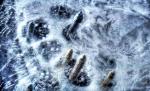 VIAŢA nu are nicio şansă! Vezi ce se întâmplă la o TEMPERATURĂ de -273 de grade Celsius