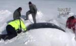 Imagini dramatice: Case şi maşini, înghiţite de nămeţi. Elicopterele MAI au salvat 30 de oameni