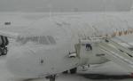 Nici nămeţii nu-i pot opri. Parlamentarii vin cu avioanele să-şi dea votul pentru cabinetul Ungureanu
