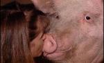 A pupat un porc pe bot. Vezi ce a facut-o pe directoarea unei şcoli să sărute animalul
