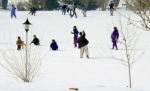 Un nou sport de iarnă a fost inventat la Serbările Zăpezii din Arieşeni - hocheiul cu mătura 