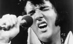 Dinţii de porţelan ai lui Elvis vor fi scoşi la licitaţie