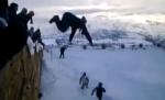 Ultima modă în materie de distracţie, în Algeria: Plonjonul în nămeţii de zăpadă