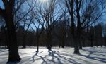 Vremea se încălzeşte. Temperaturi de până la 6 grade, în următoarele 24 de ore
