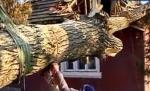 Dorel se întoarce! Muncitorii constănţeni au scăpat un copac peste acoperișul unei case!