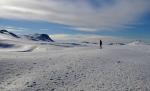 A cincea ERĂ GLACIARĂ din ultimele nouă secole. Europa pierde terenurile agricole. Gazele şi petrolul, inaccesibile