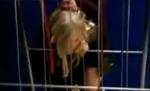 Scuza prostiei sale? E blondă! Uite cum şi-a înţepenit capul pe aeroport