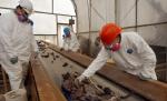 Strigător la cer: Rămăşiţele umane de la atentatele din 11 septembrie, incinerate şi aruncate la gunoi de autorităţile americane