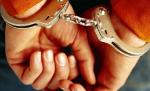 Procurorii cer instanţei arestarea preventivă a lui Vlădan, pentru omor deosebit de grav 