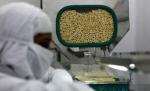 Tratament ieftin împotriva cancerului, dar neprofitabil pentru companiile farmaceutice. Vezi aici detalii despre miraculosul leac
