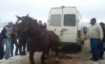 IMAGINI ŞOCANTE! Un cal a fost biciuit şi înhămat la un microbuz cu marfă