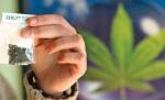 Cea mai mare captură de etnobotanice din România. Peste 22.000 plicuri de substanţe halucinogene, găsite în apartamentul unui tânăr