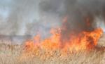 Focurile lăsate nesupravegheate fac PRĂPĂD. Hectare întregi de vegetaţie au ars. Casele oamenilor, în pericol 