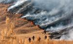 Dezastru natural din inconştienţa românilor. Sute de hectare de vegetaţie şi o pădure de pin, distruse de flăcări