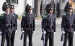 Când vei vedea întreaga imagine, te va bufni râsul. Expresia de pe feţele lor nu trădează ce se întâmplă