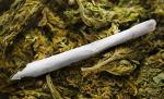 Mexic. Captură de 14 tone de marijuana, după mai multe operaţiuni ale armatei