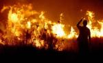 A ars de viu după ce a dat foc la vegetaţia uscată. Situaţia a scăpat de sub control, vântul a făcut intervenţia pompierilor un iad