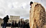 Chiar dacă absorbţia fondurilor europene este o prioritate, autorităţile din România îşi bat joc de banii europeni