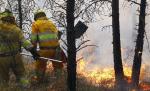 Spania. Peste 300 de pompieri se luptă pentru stingerea a 32 de incendii de pădure
