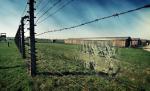 Fantomele de la Auschwitz. Locul unde moartea se simţea ca acasă. "Mama a fost trimisă în stânga. Nu am mai văzut-o niciodată"
