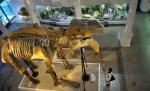 Încasări-record pentru muzee. Instituţiile au câştigat în 3 zile cât în 30 de zile