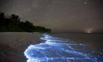 Spectacolul "extraterestru" care a uimit întreaga lume, surprins într-o fotografie de senzaţie