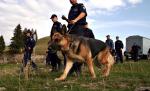 Dispărută fără urmă. A plecat la serviciu şi nu s-a mai întors. Familia nu mai ştie nimic de ea de patru luni