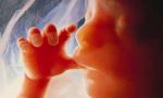 Cum vor parlamentarii PDL să rezolve criza demografică. Avortul, numai cu aviz de la psiholog