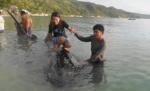 Curaj nebun! Face surf pe spatele unui rechin-balenă