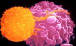 Descoperirea care va salva vieţile a milioane de oameni. Vaccinul anti-cancer, dezvoltat de oamenii de ştiinţă