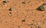 Un savant de la NASA, după reanalizarea probelor din 1976: Sunt "99% sigur" că există viaţă pe Marte