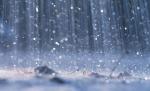 Avertizare de ploi torenţiale, descărcări electrice şi vânt, până joi la ora 09.00. Vezi prognoza meteo