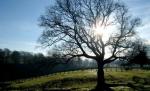 Temperaturi ridicate şi ploi, în următoarele două săptămâni. Vezi prognoza meteo