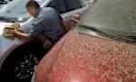 “Ploaia murdară”, fenomenul bizar care i-a luat prin surprindere pe români. Află ce efecte are