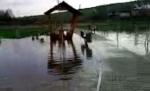 „Lucrări făcute în disperarea de a mai fura nişte bani”. Cum arată un parc amenajat în zonă inundabilă