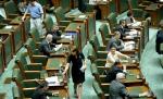 Scandal în şedinţa PDL: Puterea pierde încă doi senatori. Petru Filip şi Mihai Niţu trec în USL